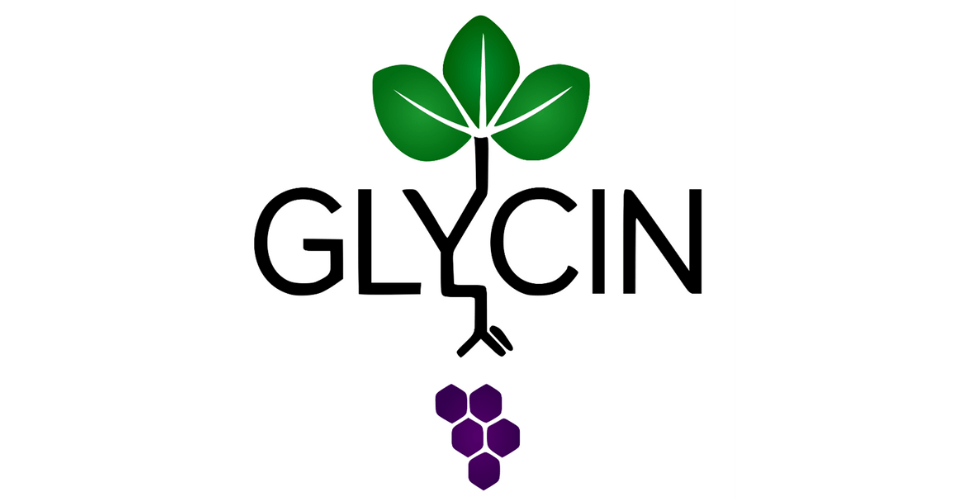 logo de l'étude GlyCin avec une grappe de raisin et des feuilles