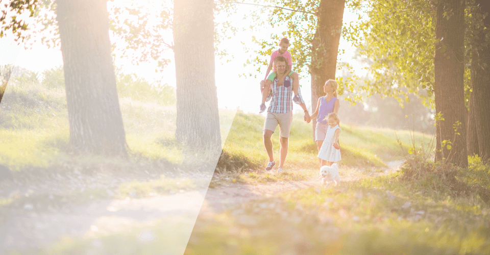 balade en forêt en famille 