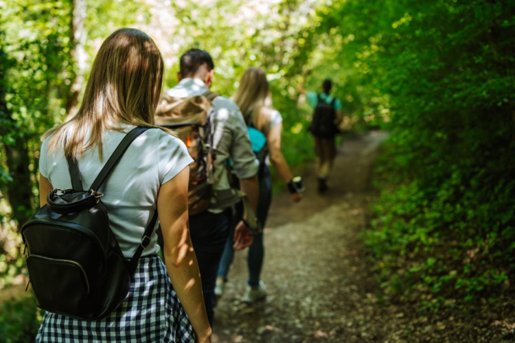Unisanté image web 4 personnes de dos, marchant sur un chemin forestier