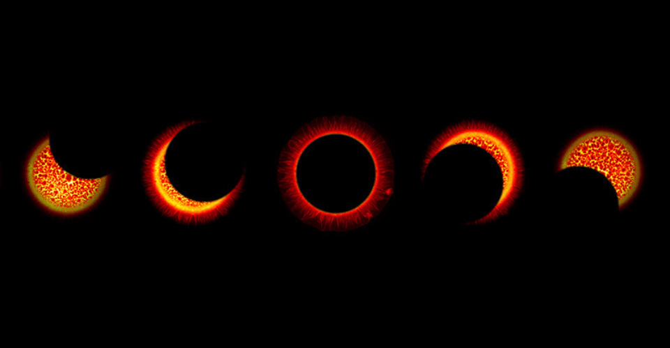 Éclipse dans une boîte de Petri, image présentée lors de l’exposition [Figure 1.A.] 2021. © Estelle Pignon