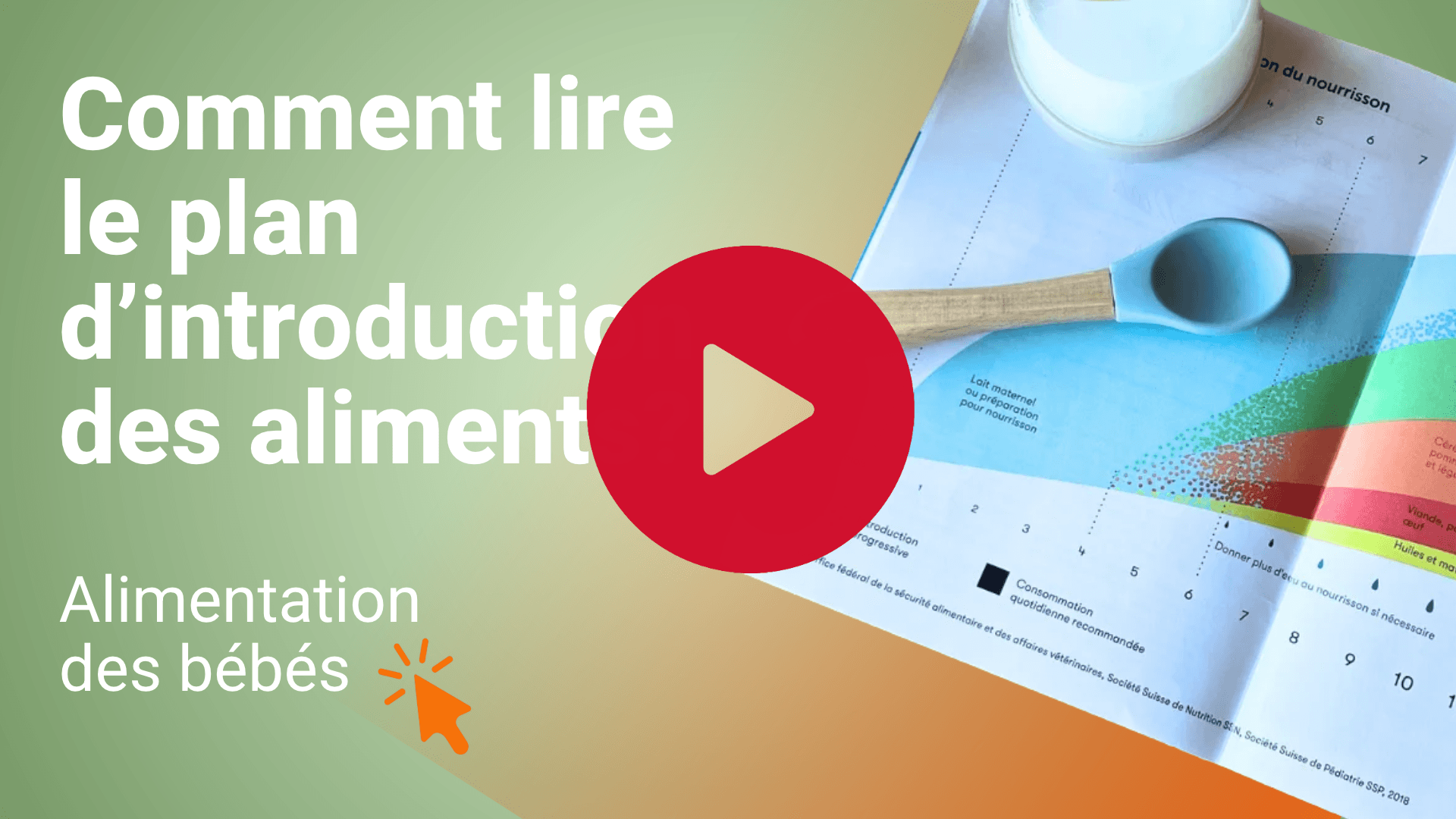 comment lire plan introduction aliments bébé