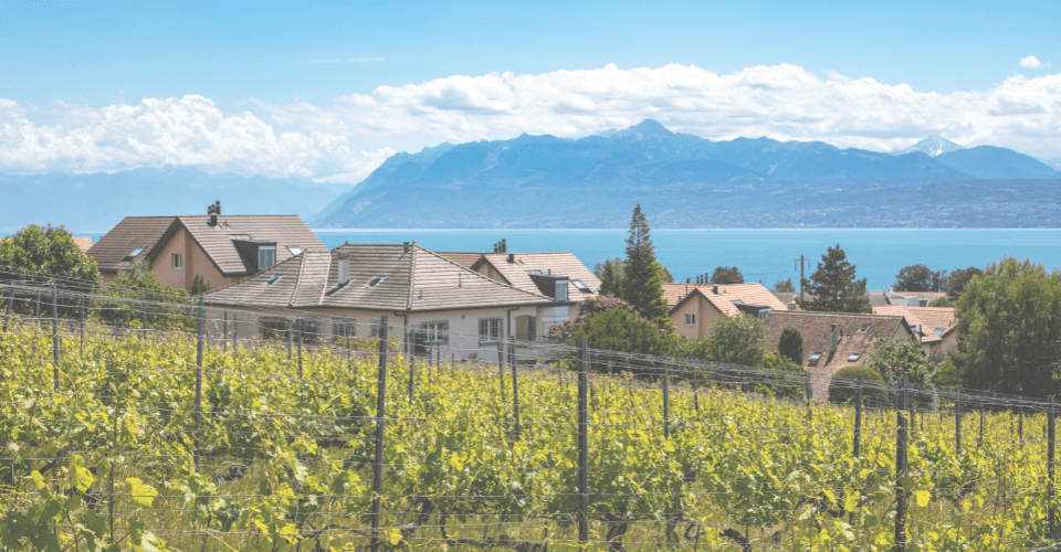 vigne, toit de maison et montagne de la commune ce saint-prex dans le canton de vaud