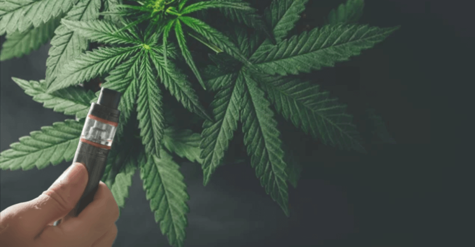 vaporette pour fumer et feuilles de cannabis