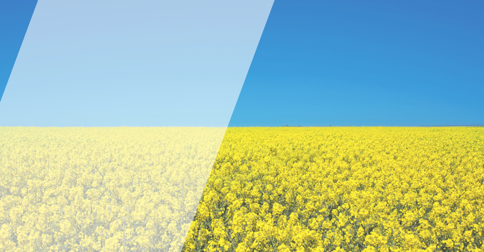 formation ukraine drapeau