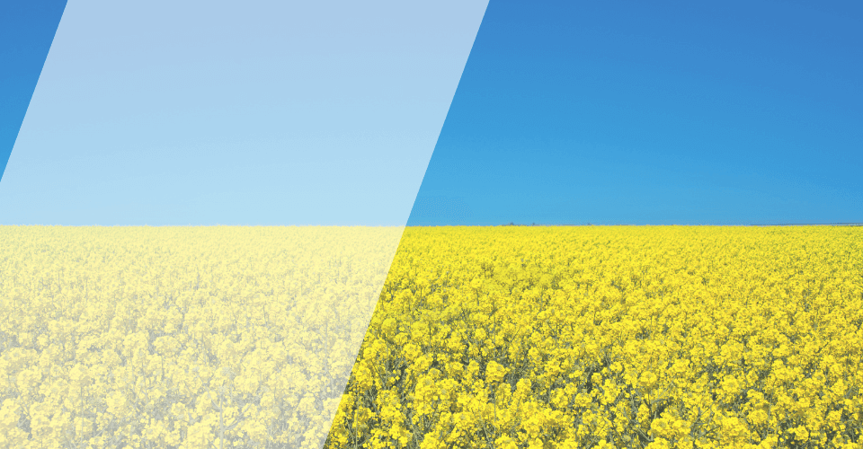 formation ukraine drapeau