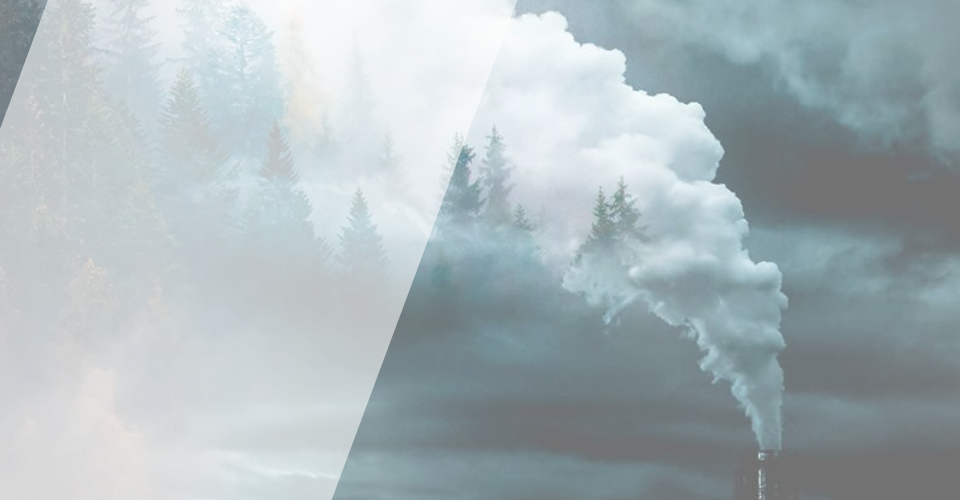 unisante web image lancement plateforme durabilite sante