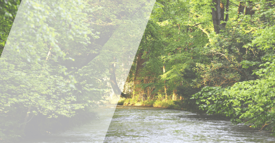 balade riviere foret eau