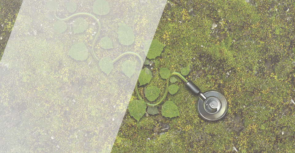 sthetoscope plante durabilite