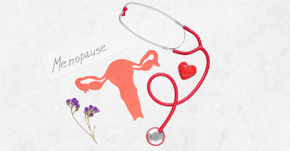 ménopause vagin stethoscope fleur et coeur pour imager la médecine complémentaire