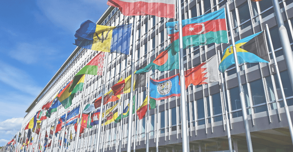 lignées de drapeaux devant le bâtiment de l'organisation mondiale de la santé (OMS)
