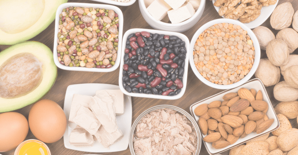 protéines sous forme de haricot, soja, oeuf, noix